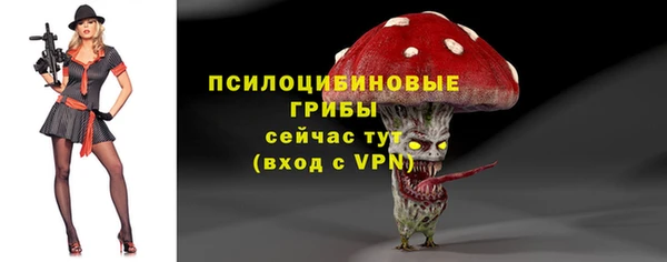 дурь Нея