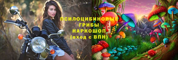 дурь Нея