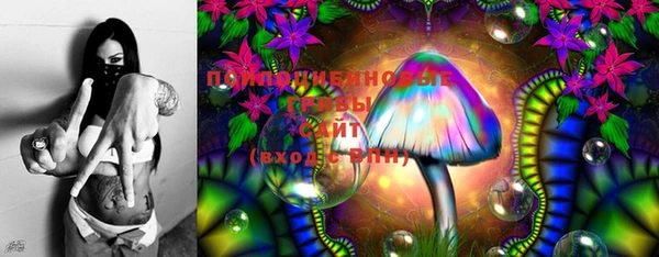 дурь Нея