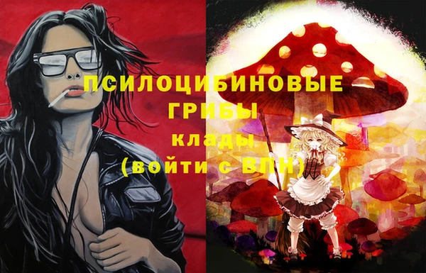 МДПВ Нефтегорск