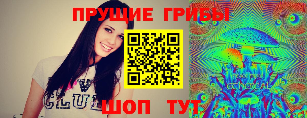 Энгельс  Галлюциногенные грибы Cubensis  закладка  Вход с VPN  Галлюциногенные грибы ЛСД 